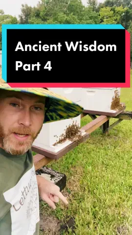 The bees knows things, not sure where they came up with this one. #growfoodnow #gardentok #honeybees #ancientwisdom #farmtok #mylife #farmlife #goodlife