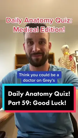 Let’s see if you could be a Dr… 🤔 #anatomy #anatomylesson #anatomyandphysiology #greysanatomy #nursesoftiktok #doctorsoftiktok #foryoupage #fyp #fypシ