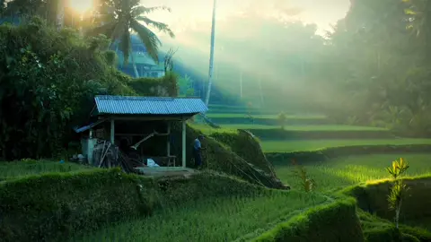 yg mau templatenya ke cc ygy#fypdongggggggg #template #templatecapcut #capcut #masukberanda #cinematicvideo #cinematicvideo #fypシ゚viral #fyp