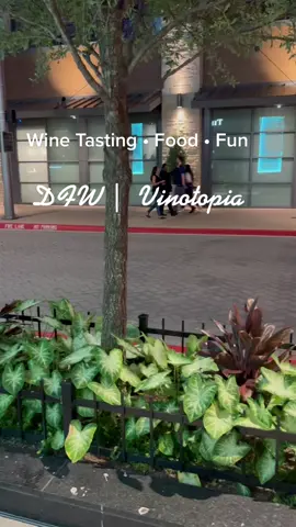 My friend took me wine tasting for my bday! Super cool experience. #dfw#winetastingtour#winetastisting#plano#vinotopia#fyp#fun