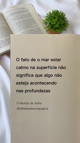 Livro: O Mundo de Sofia #omundodesofia #trechosdelivros #frasesdelivros #tiktoklivros 