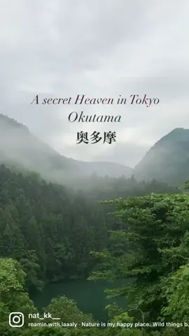 #tokyo #おすすめ #okutama #奥多摩 #fypシ 