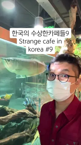 🐟🐠☕️ 수족관 카페 처음 가 봤음. First time here. #티로거 #혼자뭐했게 #이렇게산다 #틱톡여행 #tlog #아쿠아가든