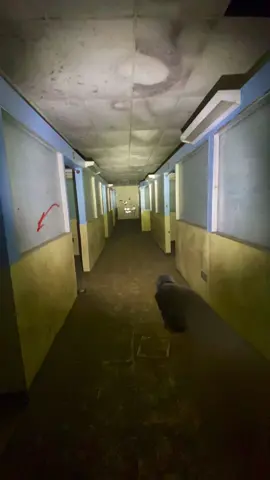 abandoned hospital childrens ward… (vid inspo: @xplorewithsonny) #urbex #urbanexploration #urbexventures #bando #backrooms #liminalspaces #abandonedbuilding #fyp 