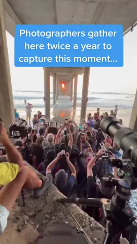 Insane shot 📸 #photography #photographer #traveltiktok #raremoment #skiplagged