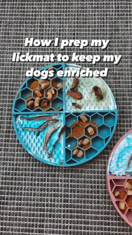 No peanut butter here ❌ #canineenrichement #nourisheveryyou 