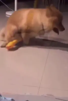 😂