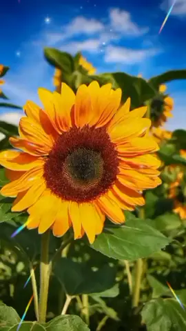 ###рекомендации ###Зведы🔥🔥🔥 ###❤❤❤ ###