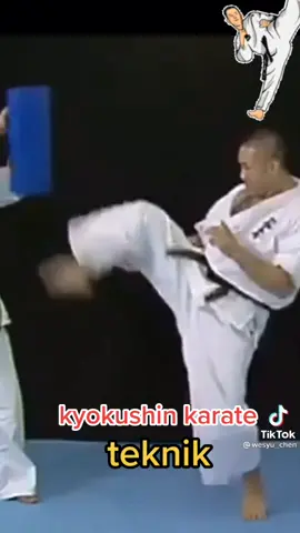 kyokushin karate#sparring #kumite #osh #tiktoknews #fypシ #viral #fypシ #virale #fyo #fyp #tiktokers #tiktok #fypdongggggggg #oss 