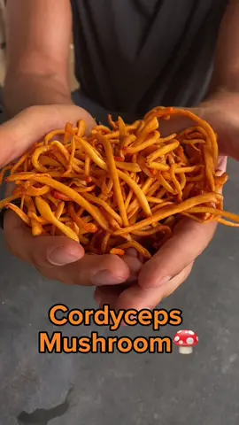 Cordyceps boost your physical peformance, not only in sports but in all kinds of departments #cordyceps #cordycepsmilitaris #performance #libidio #testosterone #estrogen #sexualhealth #dirtea #mushroomhealth #mushroomfacts #mushrooms