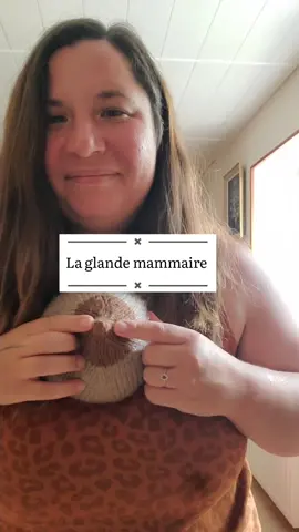 #physiologieallaitement #glandemammaire#allaitementmaternel #allaitement #breastfeeding #allaiterpartout #allaiterbebe #allaitementlong #tiragelait #routinetiragelaitmaternel #teterelles #tirelait #allaitementbambin #normalizebreastfeeding  #breastfeedingmom #comprendreallaitement #maman #bébé #maternité #allaiter #conseillereallaitement #conseillereallaitementardeche #ardeche #lactessence