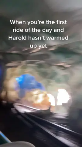 Harold ❤️ #disneycreator #disneyparks #disneytiktok #matterhornbobsled #disneyland #haroldtheyeti #disneyrides 