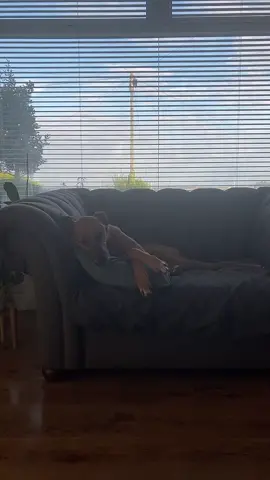 oh