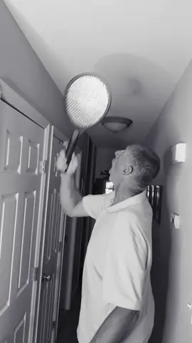 Wait for it… #WhatACatch #bugs @zevoinsect #insecttrap 