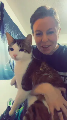 Anyone tell me what kind of kitty this little man is cause he didnt match up with any of the 70 breeds i checked lol #catsoftiktok #catslovers 