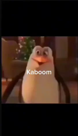 #penguin#penguinsofmadagascar #kaboom#reko#funny#boom#bang#penguins#fyp#fup#unlockmylikes 