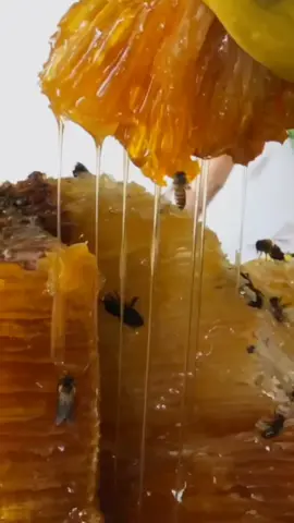 Tempting cliff honey#🥰 #Naturalhoney #wildhoney #honeycomb #honeybees #satisfying #honeyjelly #fouyou #USA