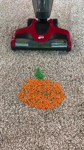 SEPTEMBER 1st MEANS ITS FALL😤 #fall #falldiy #pumpkin #pumpkinseason #pumpkinspice #autumn #sprinkles #vacuum #clean #CleanTok #cordless #cordlessvacuum #musthaves #tiktokmademebuyit 