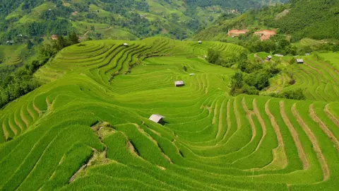 Danh thắng ruộng bậc thang Nậm Khoà - Thông Nguyên - Hoàng Su Phì!#QuocKhanh2022 #LearnOnTikTok #truongkha #xuhuongtiktok #fyp #trending #hoangsuphi #hagiang #vietnam #traveltiktok #travel