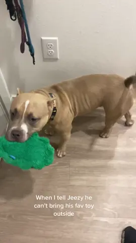 well excuse me…I make the rules but he doesn’t follow them. @BARK he loves this toy!