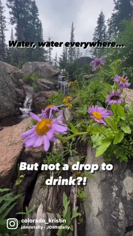 Water, water everywhere…but not a drop to drink 😢… Nope, not for you & your @RapidPure💧  purifier & insulated bottle [#ad] 💙!  With this handy dandy bottle, you can get your drink on when your waters run out but there’s a source nearby! This can come in HUGE on longer hikes and road trips.  Because as much as I’d love to say I’ve never misjudged the amount of water I’d need, it has happened during a day hike before…and rationing water out isnt really what I want to be thinking about when I’m out in nature 😕. But never again, with water sources nearby and my bottle on deck. Just fill it up, and drink - can’t get much easier than that & it tastes great, too 💦!  Use the code COKristin to get 15% off your setup today! Have you used a water filter yet or do you pack it all with you 💙?  #rapidpure #tapintonature #waterfilter #chasingwaterfalls #backpacking #hikerlife #hikersofinstagram #womenwhoexplore #outdoorgear #womenwhohikecolorado #radgirlslife #campinggear #waterfiltration  #radgirlscollective #letshike #dayhikes #coloradohiking #hikemore #hikevibes #outdoorsy #sheadventures #adventurealways #exploretocreate #findyourtrail #hitthetrails #coloradical