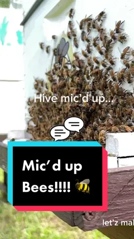 Bees communicate thru dancing or by making tiktoks. #bees #honeybees #gardentok #homestead #farmtok #savethebees
