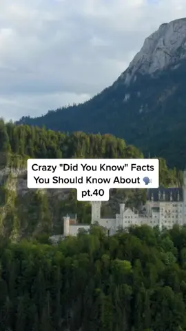 Wow 🤯 #crazyfacts #nowyouknow #EduTok #thefactsgeek 