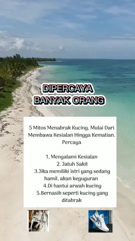 #mitosataufakta #capcuteditor #tiktokviral2022 #fyp #fypシ