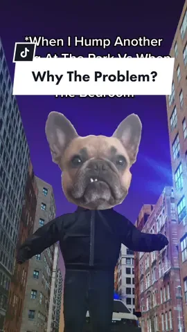 Flat our disrespectful #dogsoftiktok #itscoolwhentheydoit #dogparents #dogdad #dogmom #frenchiesoftiktok  #backend #finnesse2tymes #dogpark #intimacy #hypocrite #doublestandard @somefrenchienamedapollo @somefrenchienamedapollo 