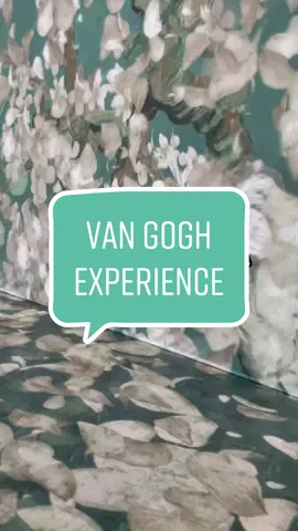 #vangogh #vangoghexhibition #vangoghart 