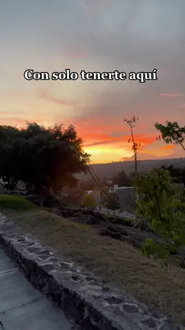 Cuidarte el alma - Chayanne #viral #parati #fyp #chayanne #musica #frases #rolitas 