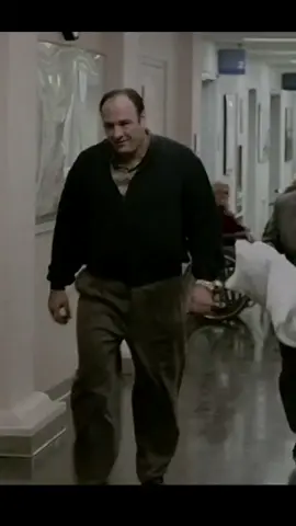 #perte #tonysoprano #thesopranos 