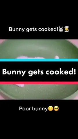Bunny gets cooked!🐰😔#bunny #fyp #fyppppppppppppppppppppppp #funny #cooking #cute #cutebabyanimals #awww