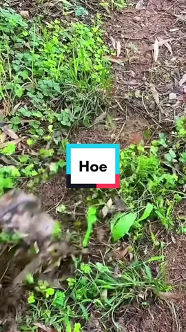 #garden #gardentools #tools #weeding #Outdoors #foryou #hoe 