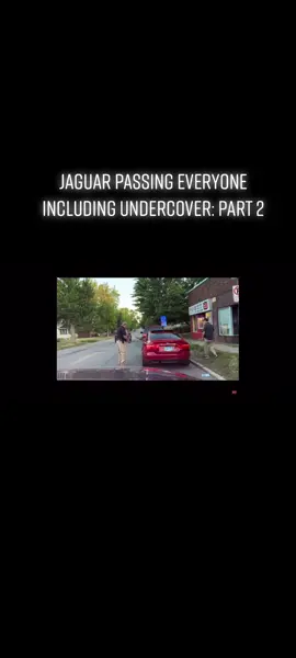 Found part 2, nothing crazy really happened but here’s the video as y’all asked for it. #trafficstop #foryoupage #tailgater #copsoftiktok 