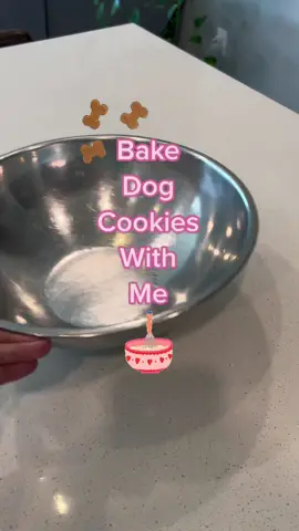 Dog treats, but make them fancy 👩🏼‍🍳 @pawTree #dogtreats #bake #baking #homemadedogtreats #dogcookies #cattreats #dogfoodtips #cattreats 