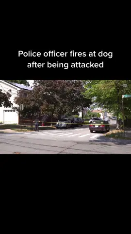A police officer shoots dog after attack. #news #crime #dogattack #dogs #firearm #shooting #police #policeofficer #nypd #statenisland #ny #nyc #photographer #videographer #stringer #breakingnewsviral #breakingnews #breakingnews🔥 