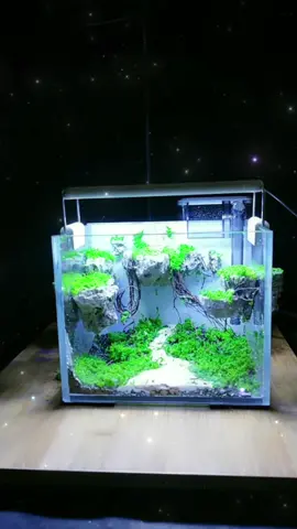 Mini aquarium DIY landscaping #diyaquarium #aqaurium #fishtanklandscaping #diyfishtank #diylife #landscape #diytiktok