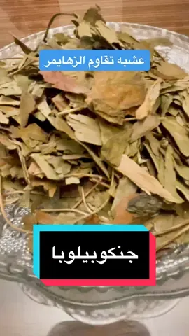 اوراق الجنكه من الاعشاب المهمه جدا لعلاج مشاكل صحه الانسان #مجربات #دبى #الشارقه #اكسبلور 