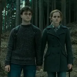#harrypotter #hermionegranger