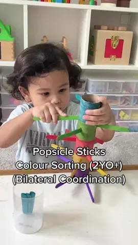 Try this colour sorting activity using tissue roll and popsicle sticks! Great for toddler’s bilateral coordination and movement control 🙌🏻 #toddler #toddleractivities #diyactivities #funathome #homeschool #montessori #prewritingskill #motorskills #bilateral #fyp 