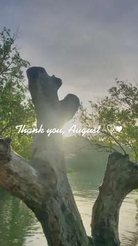 Thankkkk ü, August <333