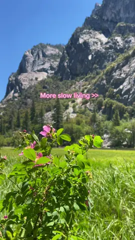 I think we should aim for more slow living #slowliving #mountaingirl #mountainlife #optoutside #outdoorsy #outdoorsygals