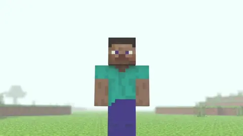 Steve minecraft !! Khi steve kết hợp với mấy con vật lại nhìn kiểu 😂 #Minecraft #vinhmc #fyp #vtmgr 