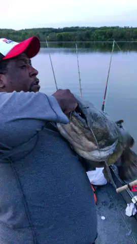 Caught this in 2017