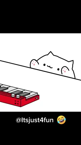 #foryou #fyp #fun #funny #cat