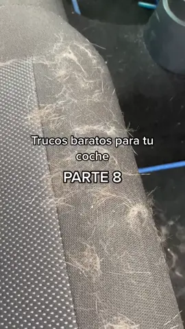 Truquito para todos los que amamos los animales pero también nuestro coche 😂  ¿Cuáles son los vuestros? 🤔👇🏽  #animales #limpieza #coche #tips  #mascota #fyp #fypシ #foryoupage #lentejasconchorizo #HavaianasLivreDeCliches 