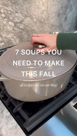 #SoupSZN is right around the corner!!! 🍜 here are all the soups we made last year ✨ recipes are on the blog! 🤳🏼 #souptok #hauste #frenchonionsoup #soupseason #souprecipe #fallrecipes 