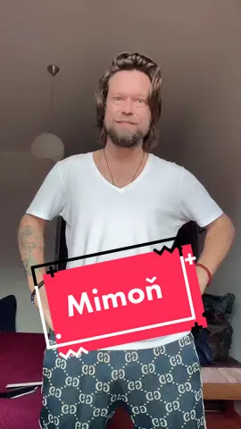 Tenhle čudlík všechny vodkrágluje 😂 #mimoni #acting #joke #fyp #duet #actor #funny #minions #nuda #na #hotelu #before #show 