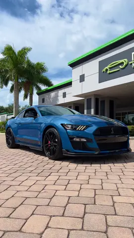 2021 Shelby GT500 #Shelby#GT500 #ShelbyGT500 #FordPerformance #carstok#carsoftiktok